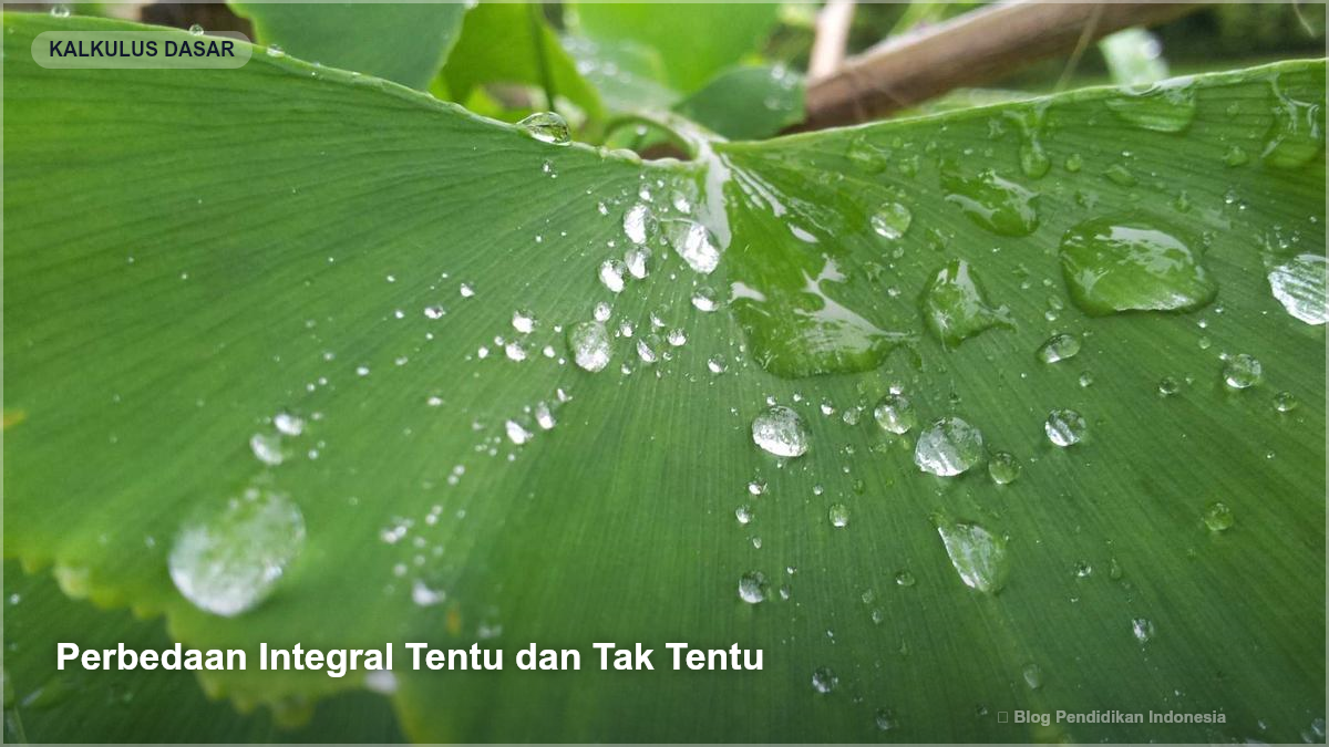 Perbedaan Integral Tentu dan Tak Tentu - Rumus Integral Dasar dan Contoh Soalnya