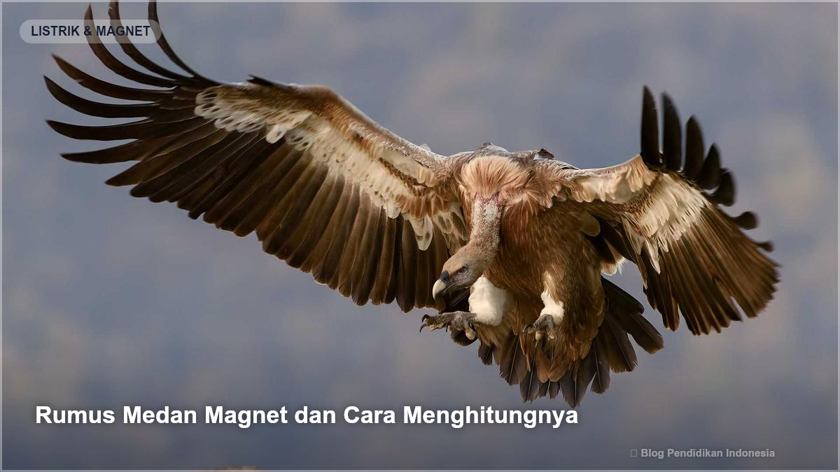 Rumus Medan Magnet dan Cara Menghitungnya - Memahami Medan Magnet dan Contoh Nyata