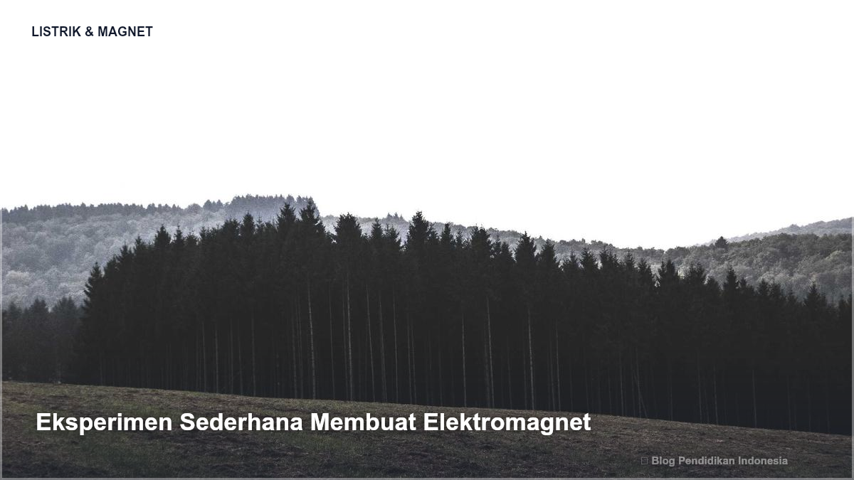 Eksperimen Sederhana Membuat Elektromagnet - Memahami Medan Magnet dan Contoh Nyata