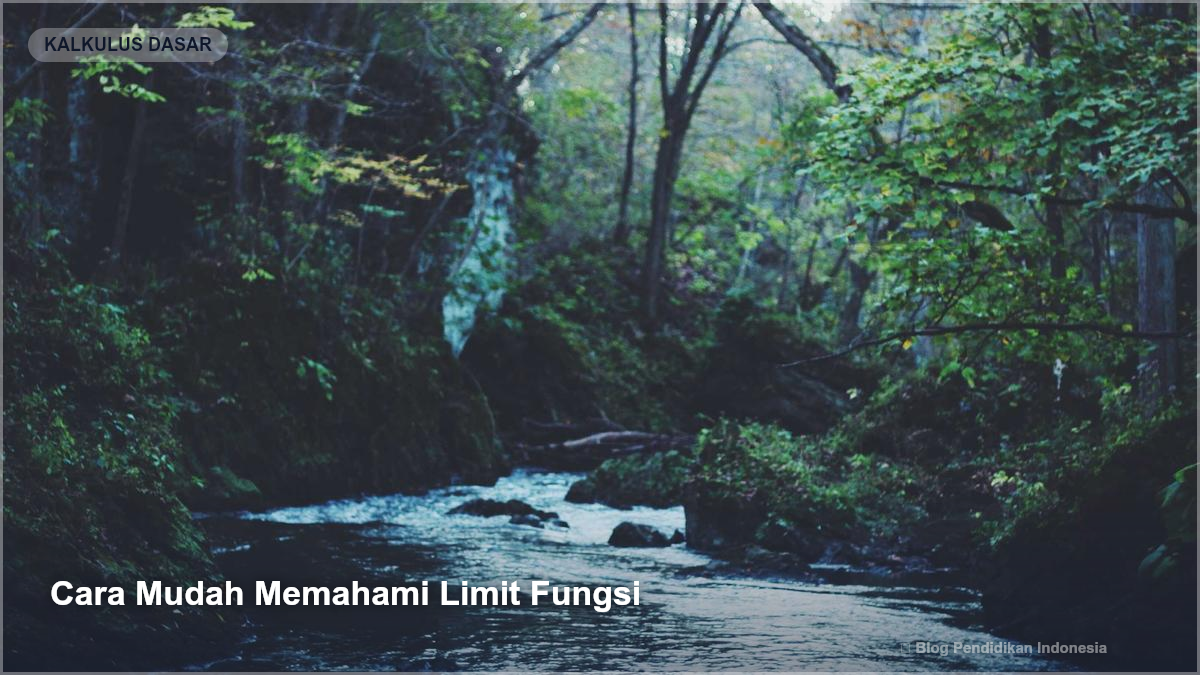 Cara Mudah Memahami Limit Fungsi - Gambar SEO Blog Pendidikan