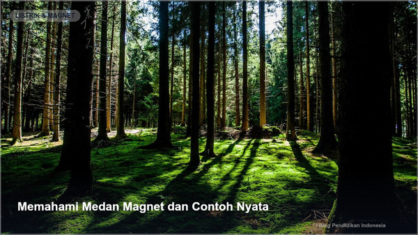 Memahami Medan Magnet dan Contoh Nyata - Gambar SEO Blog Pendidikan