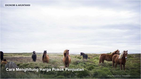 Cara Menghitung Harga Pokok Penjualan - Gambar SEO Blog Pendidikan