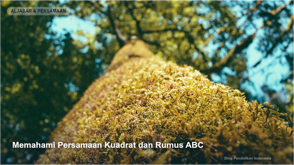 Memahami Persamaan Kuadrat dan Rumus ABC - Gambar SEO Blog Pendidikan