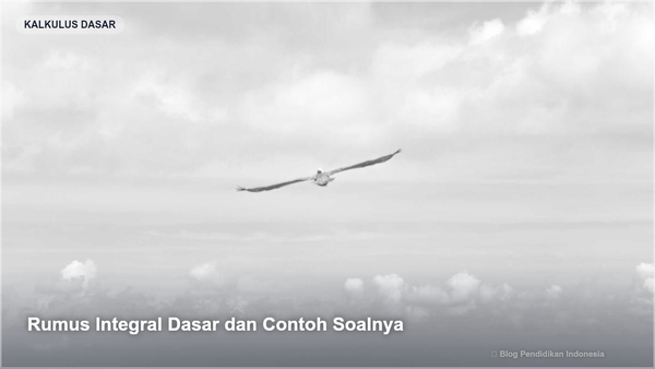 Rumus Integral Dasar dan Contoh Soalnya - Gambar SEO Blog Pendidikan