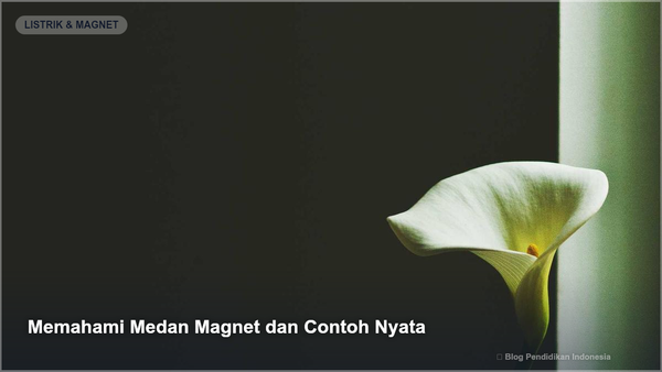 Memahami Medan Magnet dan Contoh Nyata - Gambar SEO Blog Pendidikan