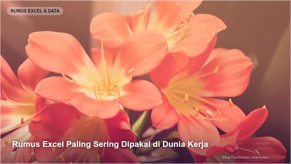 Rumus Excel Paling Sering Dipakai di Dunia Kerja - Gambar SEO Blog Pendidikan